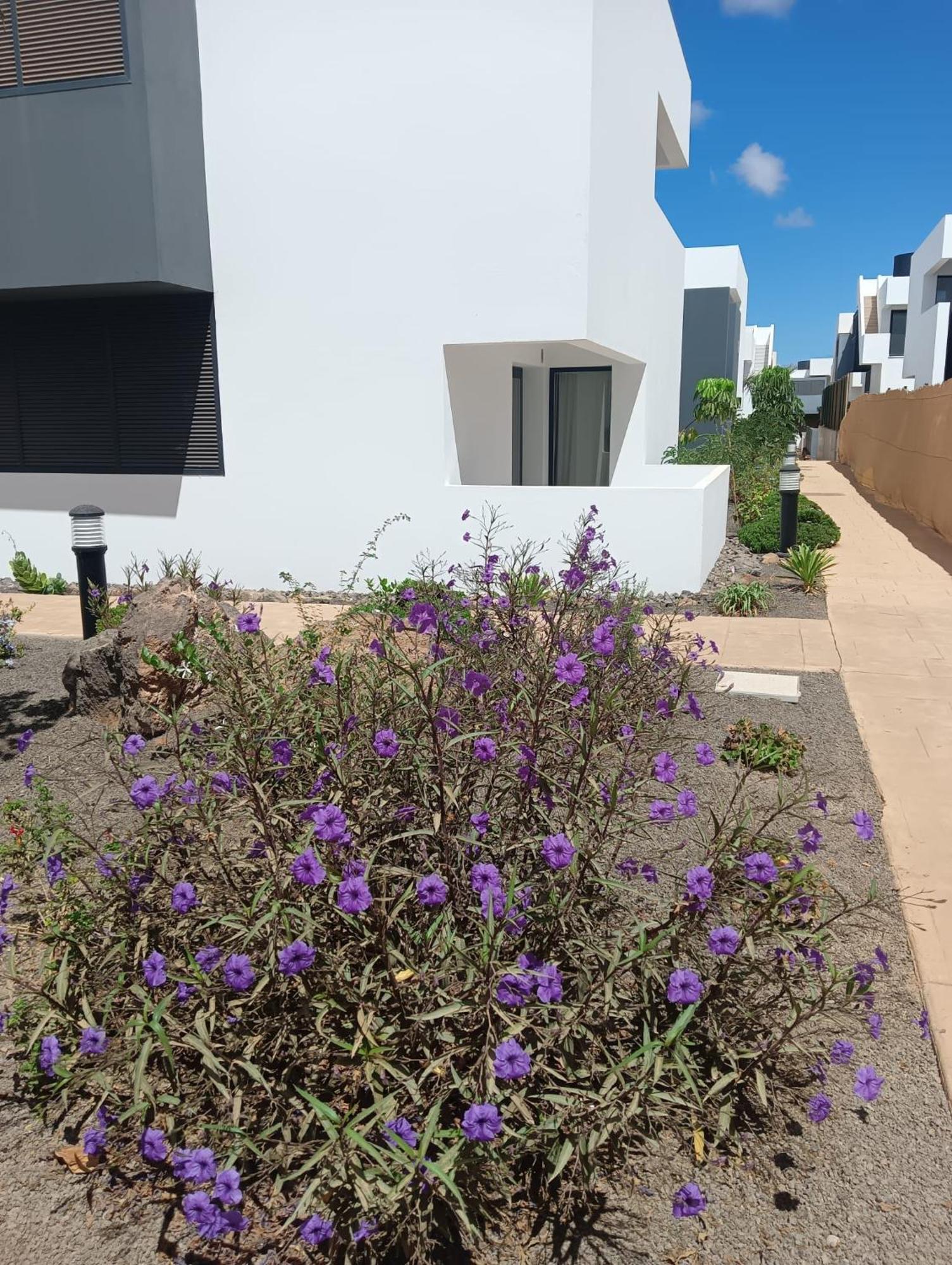 Aulaga Apartment Villaverde  Екстериор снимка